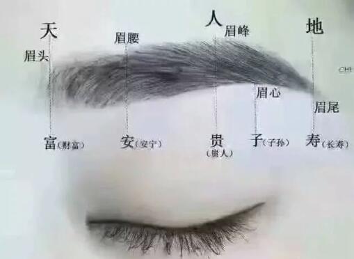 梦见咬脖子意味什么，梦见咬脖子预兆什么插图