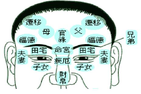 梦到了大型狗好不好预示着什么，梦到了大型狗预兆什么插图