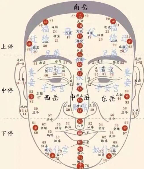 梦见五爪金龙意味着什么，梦见五爪金龙预兆着什么插图