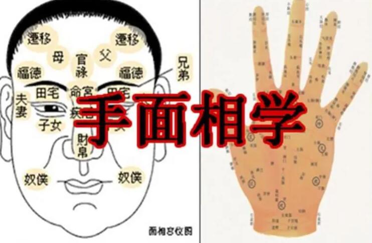 梦到了蛇变女人是啥意思，梦到了蛇变女人是什么预兆插图