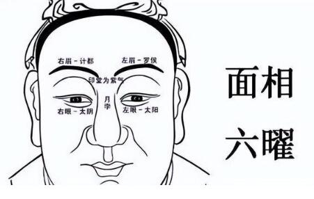 梦见蛇害怕是什么意思插图