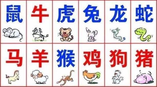 属猪人永远最旺的颜色是什么插图