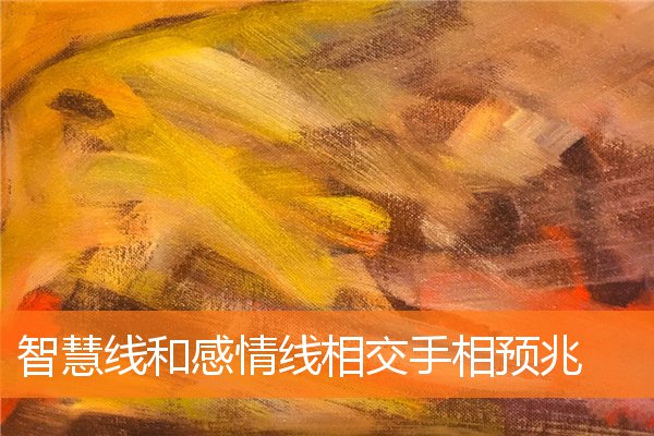 怎么看手上的爱情线与智慧线(智慧线感情线井字纹)插图