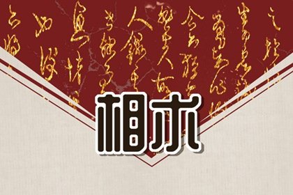 脚长痣眉毛长痣是什么含义(眉毛里有痣代表美人痣吗)插图