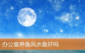 办公室养鱼风水要注意什么(办公室养鱼风水)缩略图