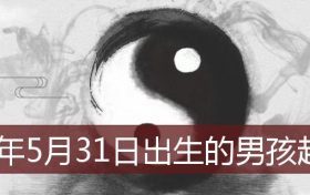 2021年5月30日出生男孩起名(2021年5月31日出生男孩子起名)缩略图