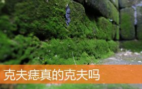 长克夫痣一定克夫吗(克夫痣百科)缩略图