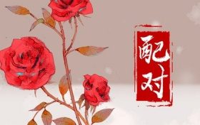 丁未日柱男命配偶日柱(丁未日柱女命配偶)缩略图