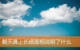 后天鼻子上长痣代表什么(鼻部痣面相)缩略图