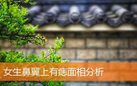 鼻翼旁边有痣代表什么女生(女生鼻翼两侧长痣代表什么)缩略图