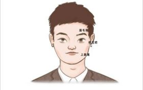 正八字眉的男人面相图片 八字眉的男人面相图解缩略图