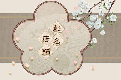 宠物店好听的独特名字 有创意的宠物店名大全插图