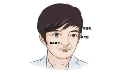 鼻子高挺的女人面相 女性鼻子高挺面相插图