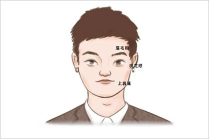 冲天眉面相 女人剑眉面相分析插图