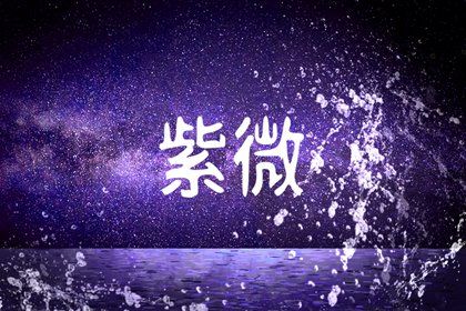 命主文曲代表什么 命主文曲的特征插图