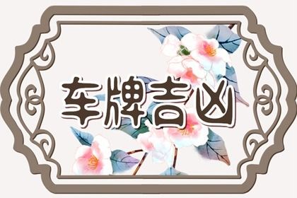 属猪的车牌吉祥数字号(属猪的选车牌号什么样的数字最吉祥)插图