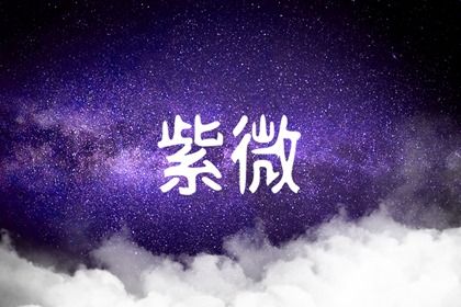 紫微斗数怎么看事业发展(紫微斗数如何看事业变动与发展)插图