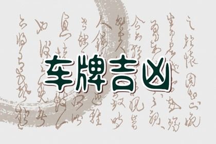 属龙的怎么选车牌号码吉祥号(属龙人的车牌号什么数字吉祥)插图