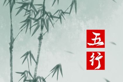 五行中的木代表什么行业(什么行业属于五行中的木)插图