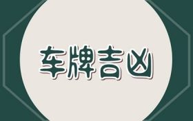 车牌号怎么选号(还有豹子号么)缩略图