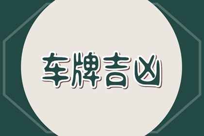 车牌号怎么选号(还有豹子号么)插图