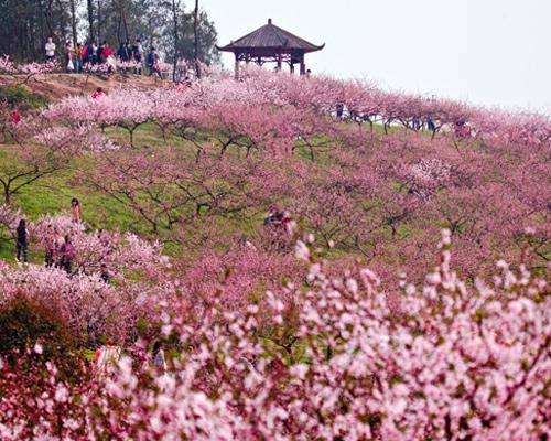 属相相害是会发生什么 生肖六害的化解办法插图