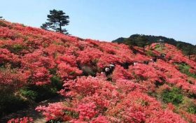 今年是第几个三八妇女节 2023年三八节是多少周年缩略图