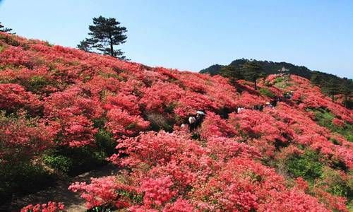 今年是第几个三八妇女节 2023年三八节是多少周年插图