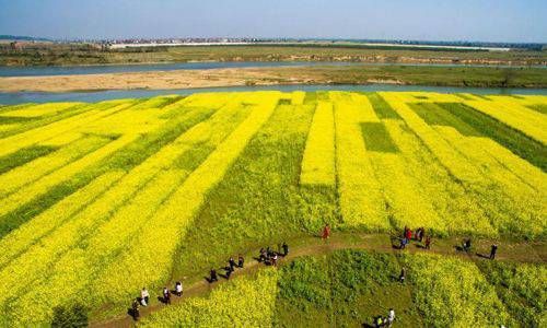 震为雷卦是吉兆吗 怎么做对所求事有帮助插图