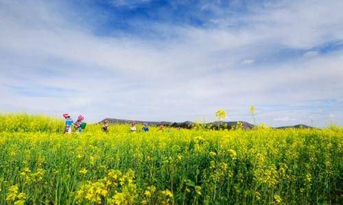 犯婚灾注定离婚 化解婚灾最好的办法插图