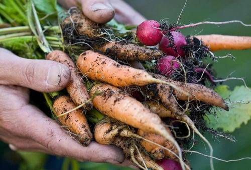 食伤泄秀八字分析 食伤泄秀什么意思插图