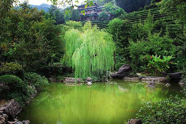 端午节送礼一般送几样 端午节提前半个月送礼合适吗插图