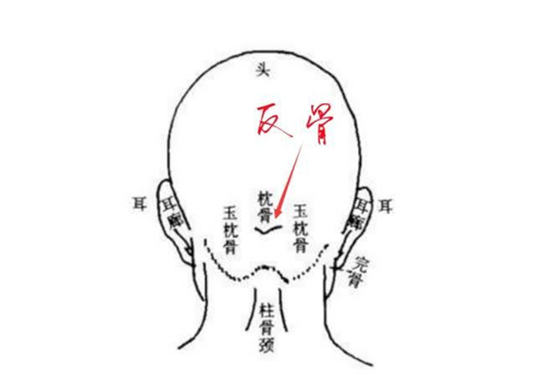 什么是反骨 男人有反骨意味着什么插图