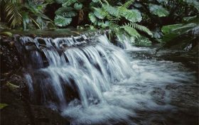 流水的女人是什么意思 流水代表什么感情缩略图