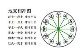 地支六冲代表什么意思 地支六冲详解缩略图