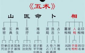 山医命相卜是什么意思 山医命相卜五术各指什么缩略图