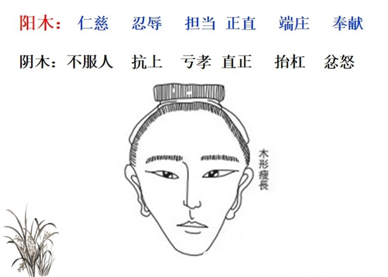 木型人十个九个贫，有什么说法吗插图