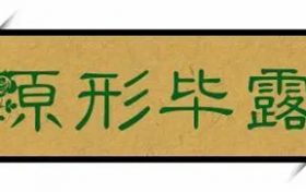 84年属鼠40岁能生下儿子吗 84年鼠命中有儿子吗缩略图