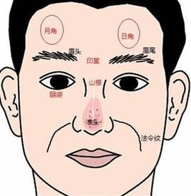 日月角在脸上的什么位置插图