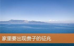 家里要出现贵子的征兆缩略图