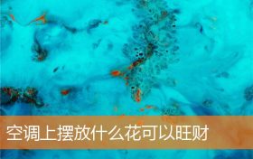 空调上摆放什么花可以旺财缩略图